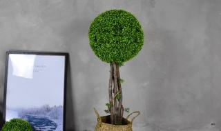 抖音橱窗是什么意思 橱窗推荐是什么意思