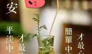 别人发了早上好的图片我怎么回复 早上好图片最新大图