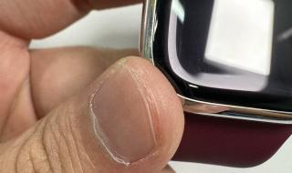 apple watch的意思 applewatch