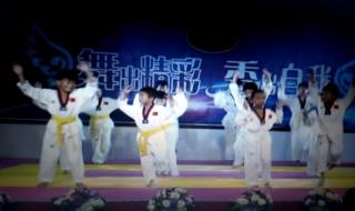 什么是跆拳道自由品势 跆拳道太极一章