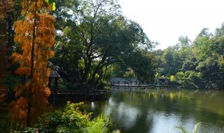 从番禺去广州云台花园怎样走 广州云台花园好玩吗