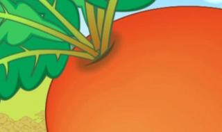 粉刷匠儿歌你拍一我拍一 我是一个粉刷匠舞蹈